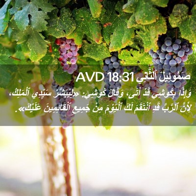 Picture 02 - صَمُوئِيلَ ٱلثَّانِي 18:31 AVD - وَإِذَا بِكُوشِي قَدْ - Bible Verse Picture