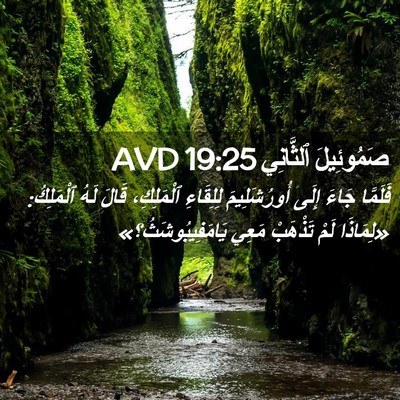Picture 02 - صَمُوئِيلَ ٱلثَّانِي 19:25 AVD - فَلَمَّا جَاءَ إِلَى - Bible Verse Picture
