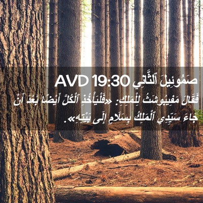 Picture 02 - صَمُوئِيلَ ٱلثَّانِي 19:30 AVD - فَقَالَ مَفِيبُوشَثُ - Bible Verse Picture