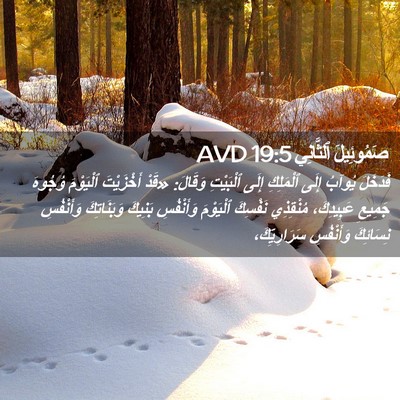 Picture 02 - صَمُوئِيلَ ٱلثَّانِي 19:5 AVD - فَدَخَلَ يُوآبُ إِلَى - Bible Verse Picture