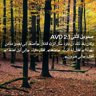 Picture 02 - صَمُوئِيلَ ٱلثَّانِي 2:1 AVD - وَكَانَ بَعْدَ ذَلِكَ - Bible Verse Picture