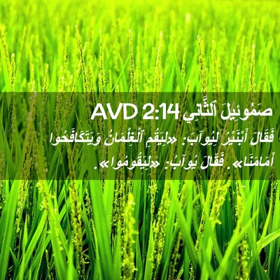 Picture 02 - صَمُوئِيلَ ٱلثَّانِي 2:14 AVD - فَقَالَ أَبْنَيْرُ - Bible Verse Picture