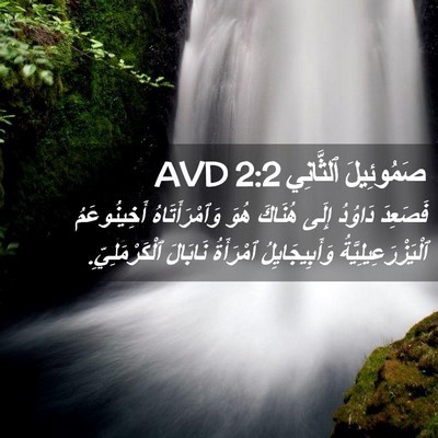 Picture 02 - صَمُوئِيلَ ٱلثَّانِي 2:2 AVD - فَصَعِدَ دَاوُدُ إِلَى - Bible Verse Picture