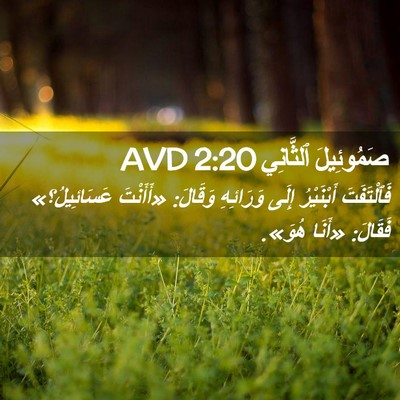 Picture 02 - صَمُوئِيلَ ٱلثَّانِي 2:20 AVD - فَٱلْتَفَتَ أَبْنَيْرُ - Bible Verse Picture