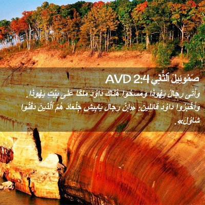 Picture 02 - صَمُوئِيلَ ٱلثَّانِي 2:4 AVD - وَأَتَى رِجَالُ يَهُوذَا - Bible Verse Picture