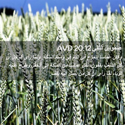 Picture 02 - صَمُوئِيلَ ٱلثَّانِي 20:12 AVD - وَكَانَ عَمَاسَا - Bible Verse Picture
