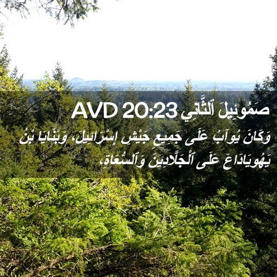 Picture 02 - صَمُوئِيلَ ٱلثَّانِي 20:23 AVD - وَكَانَ يُوآبُ عَلَى - Bible Verse Picture