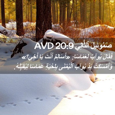 Picture 02 - صَمُوئِيلَ ٱلثَّانِي 20:9 AVD - فَقَالَ يُوآبُ لِعَمَاسَا: - Bible Verse Picture