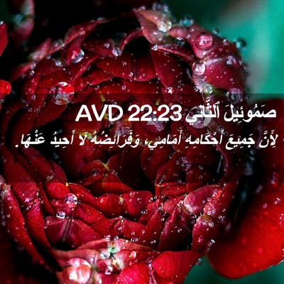 Picture 02 - صَمُوئِيلَ ٱلثَّانِي 22:23 AVD - لِأَنَّ جَمِيعَ - Bible Verse Picture