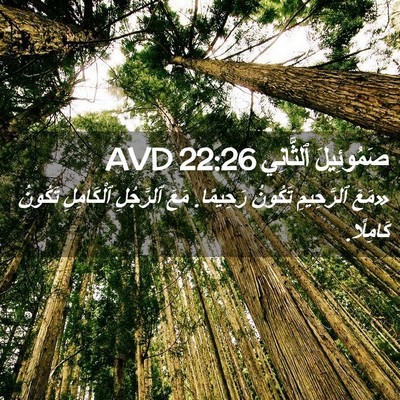 Picture 02 - صَمُوئِيلَ ٱلثَّانِي 22:26 AVD - «مَعَ ٱلرَّحِيمِ تَكُونُ - Bible Verse Picture