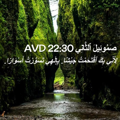 Picture 02 - صَمُوئِيلَ ٱلثَّانِي 22:30 AVD - لِأَنِّي بِكَ ٱقْتَحَمْتُ - Bible Verse Picture