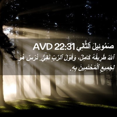 Picture 02 - صَمُوئِيلَ ٱلثَّانِي 22:31 AVD - ٱللهُ طَرِيقُهُ كَامِلٌ، - Bible Verse Picture
