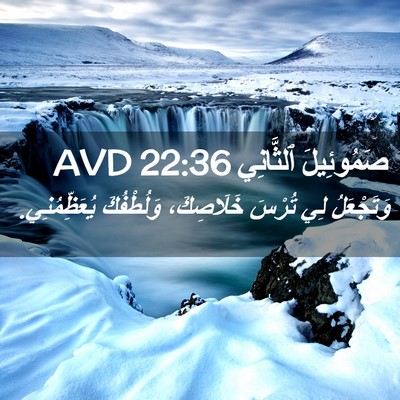 Picture 02 - صَمُوئِيلَ ٱلثَّانِي 22:36 AVD - وَتَجْعَلُ لِي تُرْسَ - Bible Verse Picture