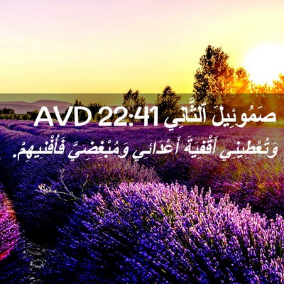 Picture 02 - صَمُوئِيلَ ٱلثَّانِي 22:41 AVD - وَتُعْطِينِي أَقْفِيَةَ - Bible Verse Picture