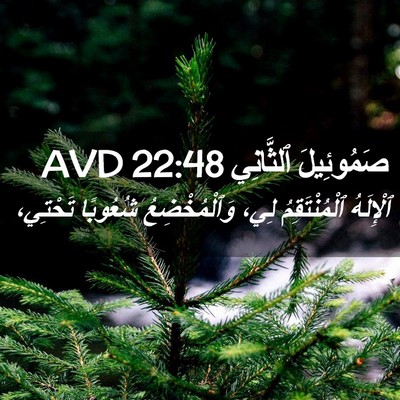 Picture 02 - صَمُوئِيلَ ٱلثَّانِي 22:48 AVD - ٱلْإِلَهُ ٱلْمُنْتَقِمُ - Bible Verse Picture
