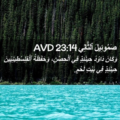 Picture 02 - صَمُوئِيلَ ٱلثَّانِي 23:14 AVD - وَكَانَ دَاوُدُ حِينَئِذٍ - Bible Verse Picture
