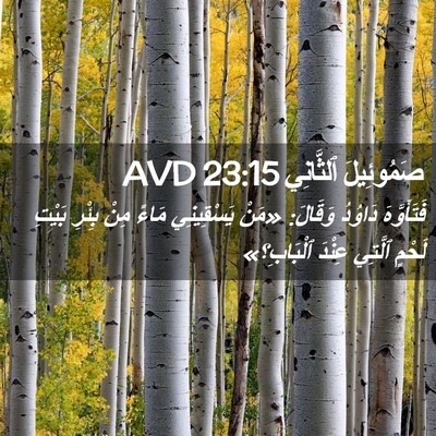 Picture 02 - صَمُوئِيلَ ٱلثَّانِي 23:15 AVD - فَتَأَوَّهَ دَاوُدُ - Bible Verse Picture