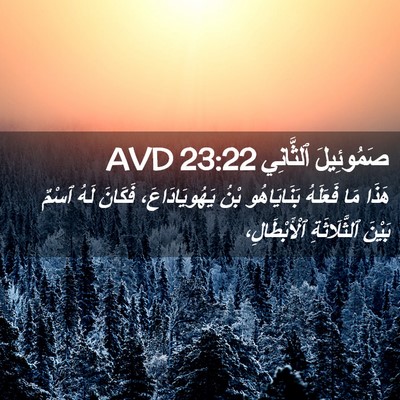 Picture 02 - صَمُوئِيلَ ٱلثَّانِي 23:22 AVD - هَذَا مَا فَعَلَهُ - Bible Verse Picture