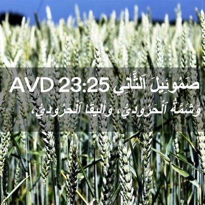 Picture 02 - صَمُوئِيلَ ٱلثَّانِي 23:25 AVD - وَشَمَّةُ ٱلْحَرُودِيُّ، - Bible Verse Picture