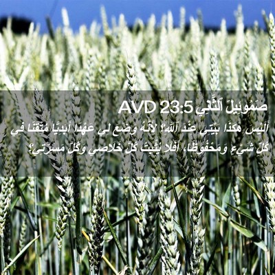 Picture 02 - صَمُوئِيلَ ٱلثَّانِي 23:5 AVD - أَلَيْسَ هَكَذَا بَيْتِي - Bible Verse Picture