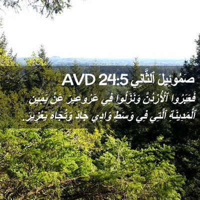 Picture 02 - صَمُوئِيلَ ٱلثَّانِي 24:5 AVD - فَعَبَرُوا ٱلْأُرْدُنَّ - Bible Verse Picture