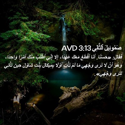 Picture 02 - صَمُوئِيلَ ٱلثَّانِي 3:13 AVD - فَقَالَ: «حَسَنًا. أَنَا - Bible Verse Picture