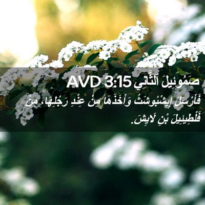 Picture 02 - صَمُوئِيلَ ٱلثَّانِي 3:15 AVD - فَأَرْسَلَ إِيشْبُوشَثُ - Bible Verse Picture