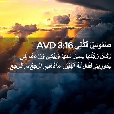 Picture 02 - صَمُوئِيلَ ٱلثَّانِي 3:16 AVD - وَكَانَ رَجُلُهَا يَسِيرُ - Bible Verse Picture