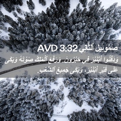 Picture 02 - صَمُوئِيلَ ٱلثَّانِي 3:32 AVD - وَدَفَنُوا أَبْنَيْرَ فِي - Bible Verse Picture