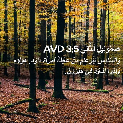 Picture 02 - صَمُوئِيلَ ٱلثَّانِي 3:5 AVD - وَٱلسَّادِسُ يَثْرَعَامَ - Bible Verse Picture