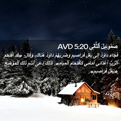 Picture 02 - صَمُوئِيلَ ٱلثَّانِي 5:20 AVD - فَجَاءَ دَاوُدُ إِلَى - Bible Verse Picture