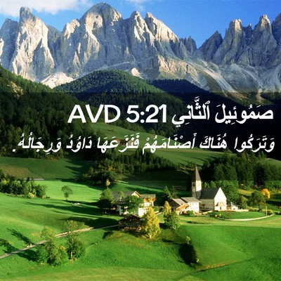 Picture 02 - صَمُوئِيلَ ٱلثَّانِي 5:21 AVD - وَتَرَكُوا هُنَاكَ - Bible Verse Picture