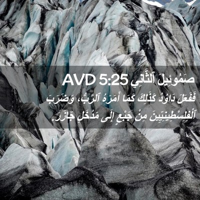 Picture 02 - صَمُوئِيلَ ٱلثَّانِي 5:25 AVD - فَفَعَلَ دَاوُدُ كَذَلِكَ - Bible Verse Picture