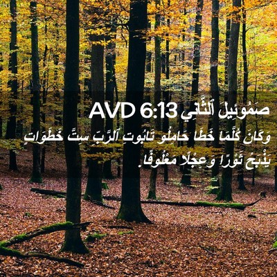 Picture 02 - صَمُوئِيلَ ٱلثَّانِي 6:13 AVD - وَكَانَ كُلَّمَا خَطَا - Bible Verse Picture