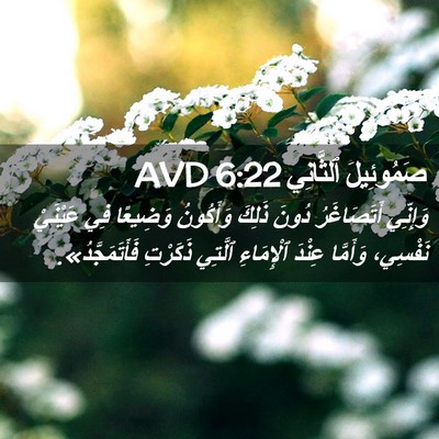 Picture 02 - صَمُوئِيلَ ٱلثَّانِي 6:22 AVD - وَإِنِّي أَتَصَاغَرُ - Bible Verse Picture
