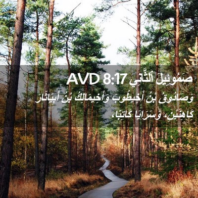 Picture 02 - صَمُوئِيلَ ٱلثَّانِي 8:17 AVD - وَصَادُوقُ بْنُ - Bible Verse Picture