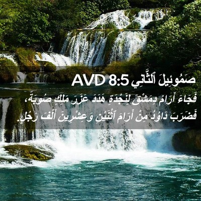 Picture 02 - صَمُوئِيلَ ٱلثَّانِي 8:5 AVD - فَجَاءَ أَرَامُ دِمَشْقَ - Bible Verse Picture