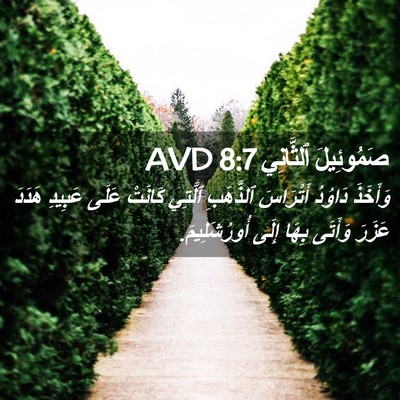 Picture 02 - صَمُوئِيلَ ٱلثَّانِي 8:7 AVD - وَأَخَذَ دَاوُدُ - Bible Verse Picture