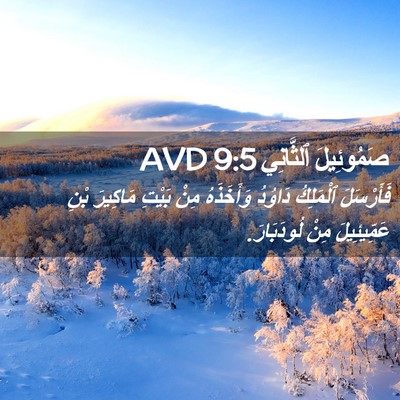 Picture 02 - صَمُوئِيلَ ٱلثَّانِي 9:5 AVD - فَأَرْسَلَ ٱلْمَلِكُ - Bible Verse Picture