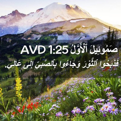 Picture 02 - صَمُوئِيلَ ٱلْأَوَّلُ 1:25 AVD - فَذَبَحُوا ٱلثَّوْرَ - Bible Verse Picture