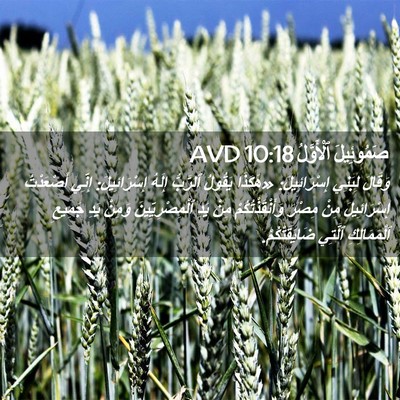 Picture 02 - صَمُوئِيلَ ٱلْأَوَّلُ 10:18 AVD - وَقَالَ لِبَنِي - Bible Verse Picture