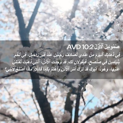 Picture 02 - صَمُوئِيلَ ٱلْأَوَّلُ 10:2 AVD - فِي ذَهَابِكَ ٱلْيَوْمَ - Bible Verse Picture