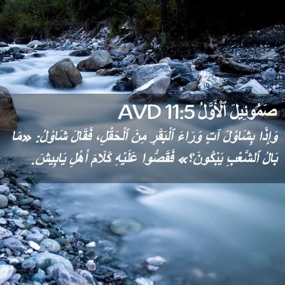 Picture 02 - صَمُوئِيلَ ٱلْأَوَّلُ 11:5 AVD - وَإِذَا بِشَاوُلَ آتٍ - Bible Verse Picture