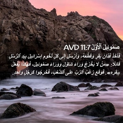 Picture 02 - صَمُوئِيلَ ٱلْأَوَّلُ 11:7 AVD - فَأَخَذَ فَدَّانَ بَقَرٍ - Bible Verse Picture