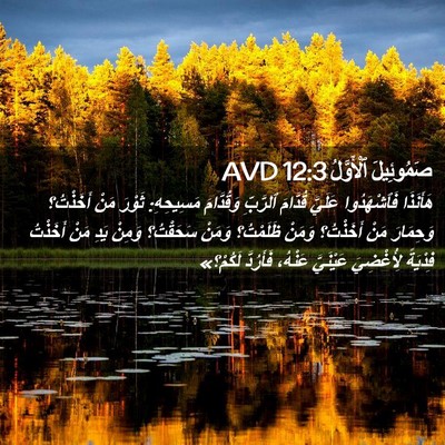 Picture 02 - صَمُوئِيلَ ٱلْأَوَّلُ 12:3 AVD - هَأَنَذَا فَٱشْهَدُوا - Bible Verse Picture