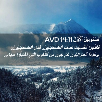 Picture 02 - صَمُوئِيلَ ٱلْأَوَّلُ 14:11 AVD - فَأَظْهَرَا أَنْفُسَهُمَا - Bible Verse Picture