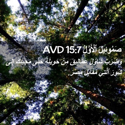 Picture 02 - صَمُوئِيلَ ٱلْأَوَّلُ 15:7 AVD - وَضَرَبَ شَاوُلُ - Bible Verse Picture