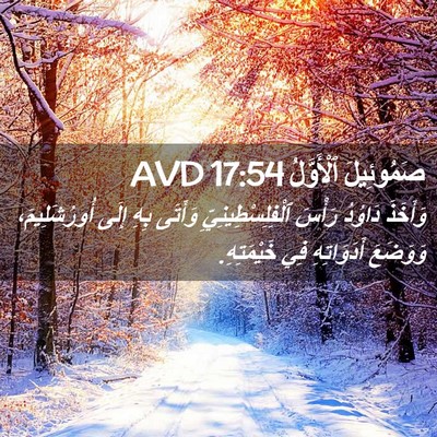 Picture 02 - صَمُوئِيلَ ٱلْأَوَّلُ 17:54 AVD - وَأَخَذَ دَاوُدُ رَأْسَ - Bible Verse Picture