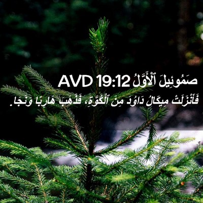 Picture 02 - صَمُوئِيلَ ٱلْأَوَّلُ 19:12 AVD - فَأَنْزَلَتْ مِيكَالُ - Bible Verse Picture