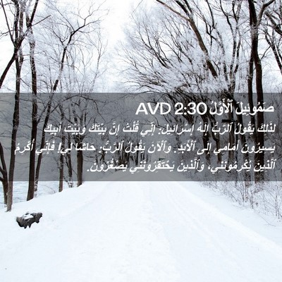 Picture 02 - صَمُوئِيلَ ٱلْأَوَّلُ 2:30 AVD - لِذَلِكَ يَقُولُ ٱلرَّبُّ - Bible Verse Picture